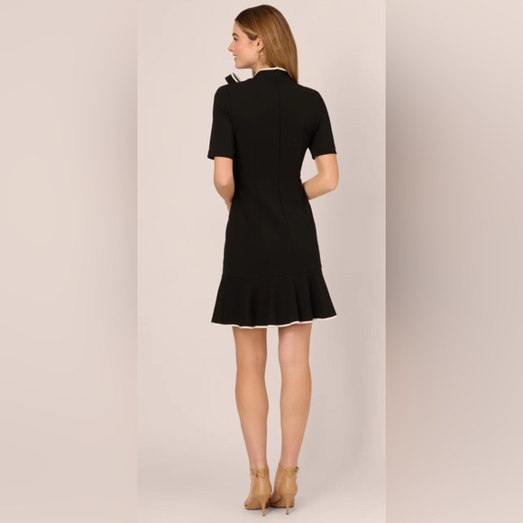 Andrianna Papell Kit Crepe Tie Neck Fit and Flare Dress - Picture 4 of 8